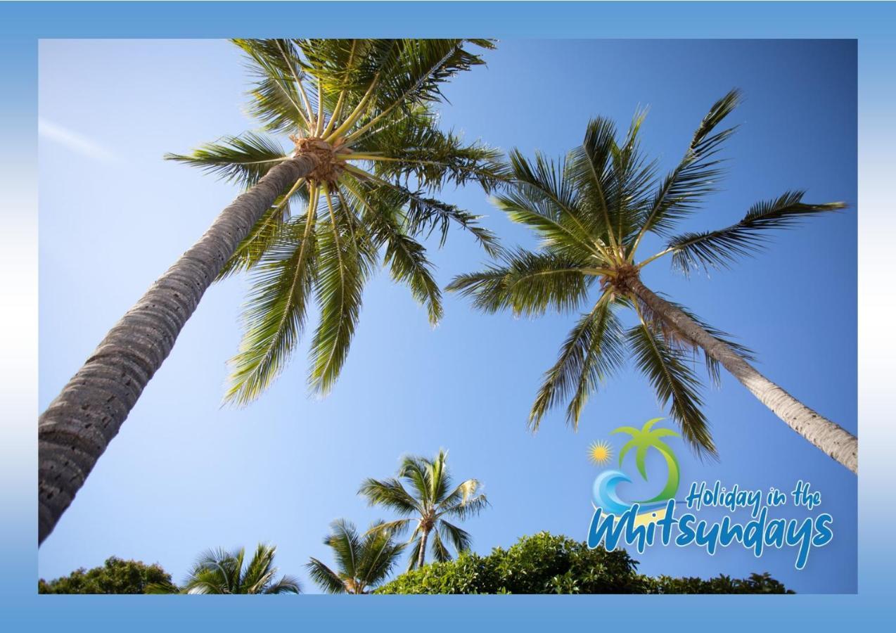 Ocean Views 16 Pool & Spa Wi-Fi Airlie Beach Exterior photo